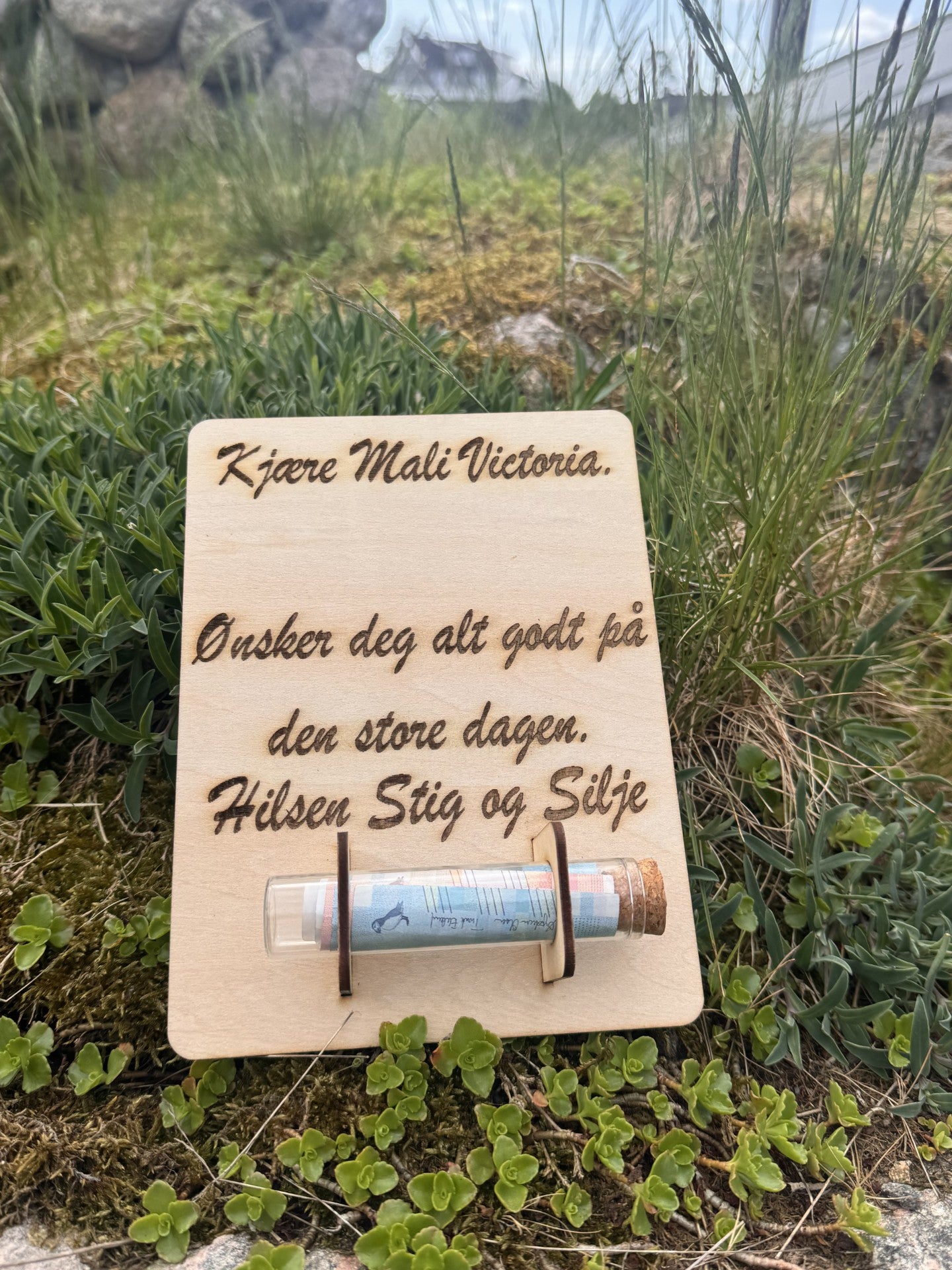 Gavekort med rør til pengegave